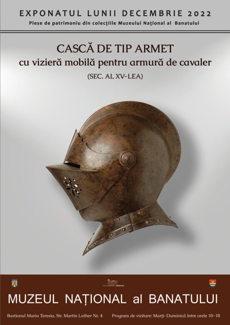 exponatul lunii decembrie