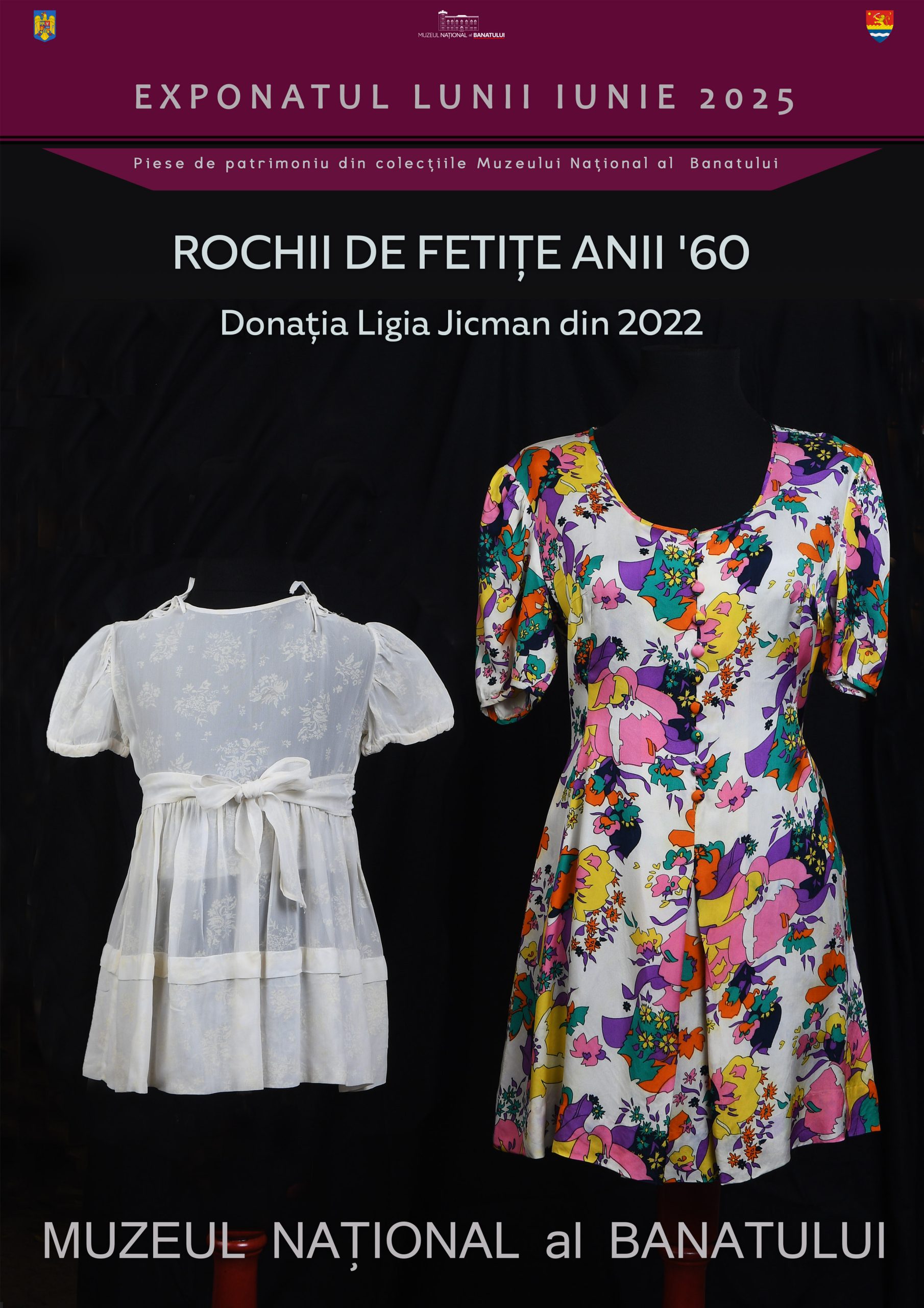 Afis a4 exponat iunie rochite