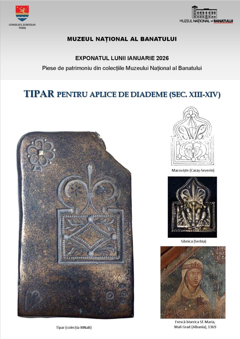 Exponatul lunii ianuarie